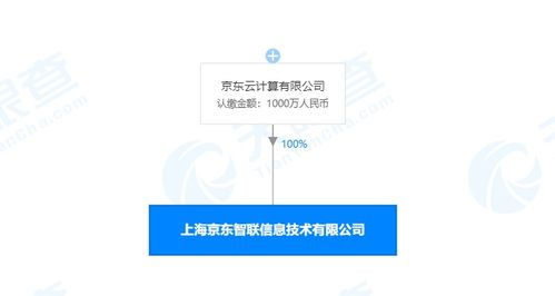 京東云成立智聯(lián)信息技術(shù)公司，注冊資本1000萬元布局信息系統(tǒng)集成服務(wù)